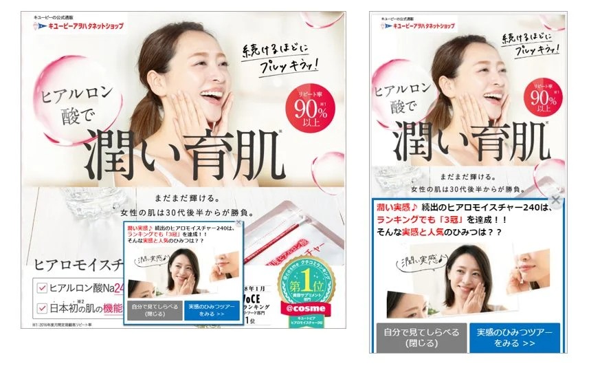 イメージ：商品概要を要約して案内するポップアップ