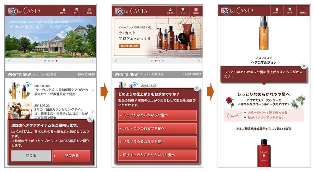 イメージ：店舗での接客のように、理想の仕上がりなどを選択してもらい、回答にマッチする商品を案内するポップアップ